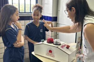 Design sem nome (28)